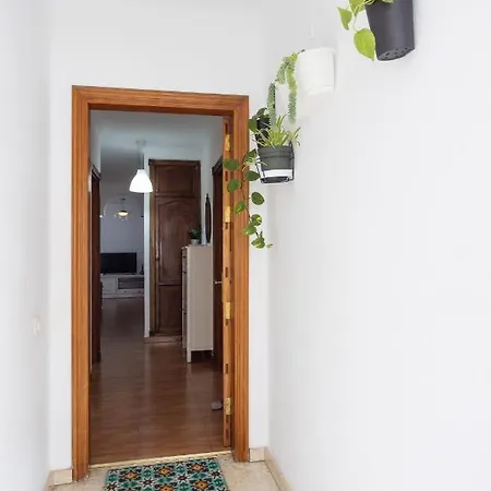 Icod De Vinos Centro Icod De Los Vinos