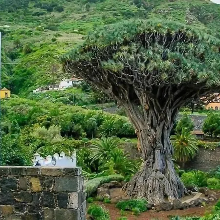 Icod De Vinos Centro
