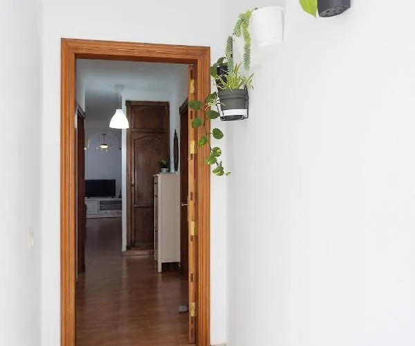 Icod De Vinos Centro イコー・デ・ロス・ビノス