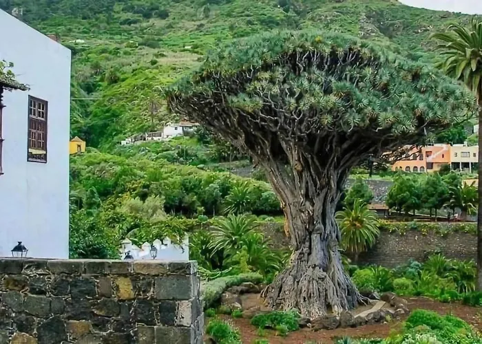 Icod De Vinos Centro